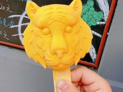-无锡动物园·太湖欢乐园