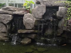 -汤山翠谷生态餐厅