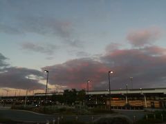 -威勒比开放式动物园