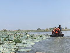 -洪湖生态旅游区