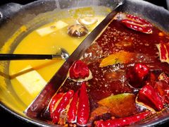 红颜花胶鸡锅-湊湊火锅·茶憩(新中关购物中心店)
