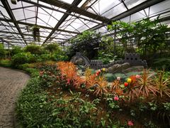 -南宫五洲植物乐园