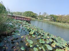 -新江湾城公园