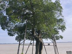 -观潮胜地公园