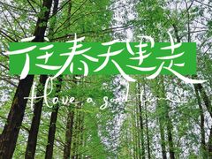 -蜀绣公园