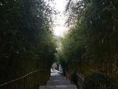 -竹子庵公园