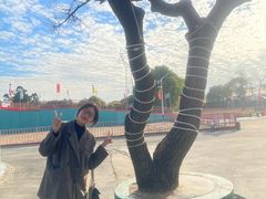 -广东花都香草世界旅游度假区