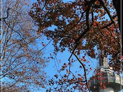 -岳麓山风景名胜区