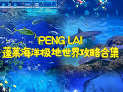 -蓬莱欧乐堡海洋极地世界