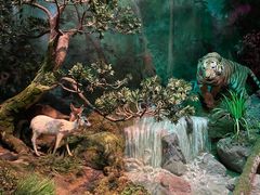 -武汉园博园(武汉自然博物馆)