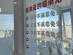 -爱洗澡的猫(望京店)