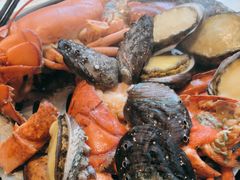 -半岛听涛蒸汽海鲜自助(K11店)