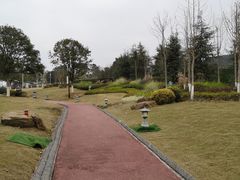 -铁山坪森林公园