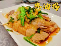 招牌葱油鸡-粤·向群饭店(龙津东路总店)