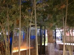 -春晖园度假酒店温泉