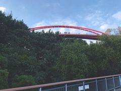 -金鸡山公园