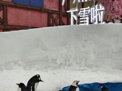 -广州热雪奇迹