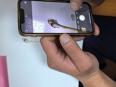 -北京观赏动物医院·24小时大型综合·猫专科·异宠专科
