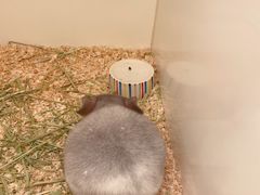 -龙猫仔乐园(惠福东路店)