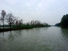 -大湾区中央湿地公园