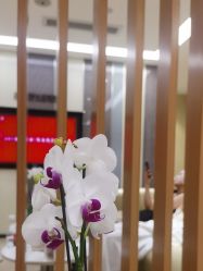 -Yestar宁波艺星整形医院