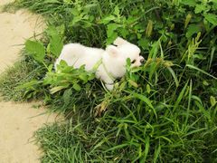 -碓臼峪自然风景区