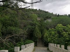 -白水寺森林公园