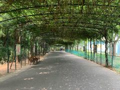 景点-无锡动物园·太湖欢乐园