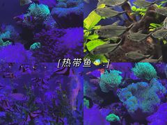 -海合安成都极地海洋公园