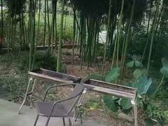 -聚会山庄·派对会议团建别墅轰趴馆(中兴和园店)