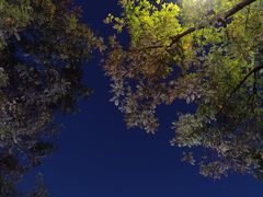 -河南省体育场馆中心游泳馆