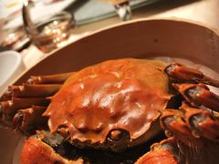 -南苑环球酒店云顶高级中餐厅(鄞县大道店)