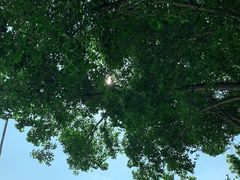 -青礁慈济宫