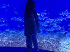 -波塞冬海底世界
