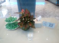 -清颜专业祛痘连锁店