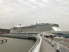 -吴淞口国际邮轮码头-停车场