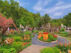 -深圳仙湖植物园