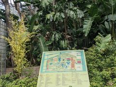 -九龙公园
