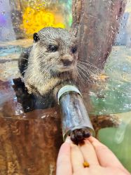 -Zoolung Zoolung动物主题公园(海信广场店)
