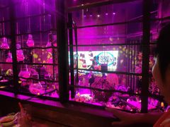 -胡桃里音乐酒馆(曲江店)