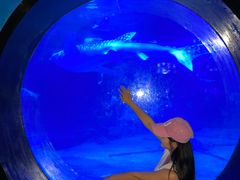 -烟台海昌鲸鲨海洋公园