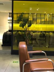 点击看大图 -AYO SALON