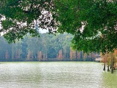 -星湖旅游景区七星岩