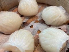 -新海利海鲜城·41年珠海老字号(夏湾店)
