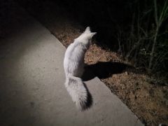 -鬼笑石后山停车场