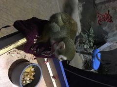 iphone_upload_pic-泉城欧乐堡海洋极地世界