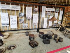 -西双版纳原始森林公园