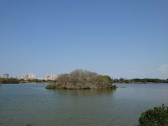 -海珠湖公园
