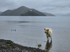 -丽江泸沽湖景区