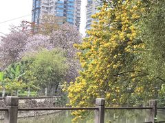 -晓港公园